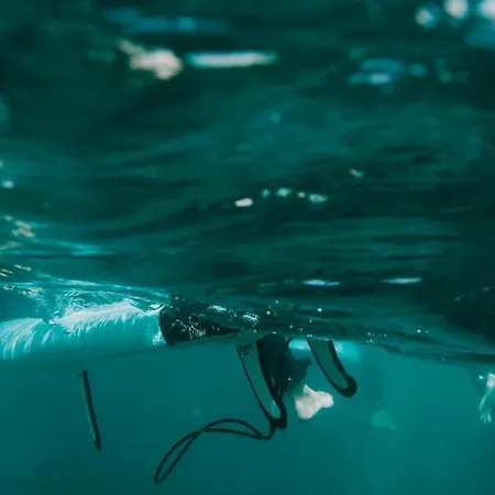 אכסניה Surf גיחון