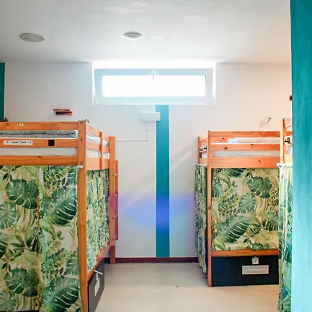 אכסניה Surf גיחון